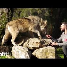 Our Wolf Pack on crossfit.com